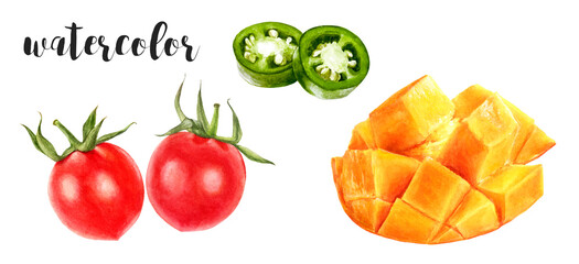 Hand-Painted Watercolor Mango, Cherry Tomatoes, and Jalapeno Illustration