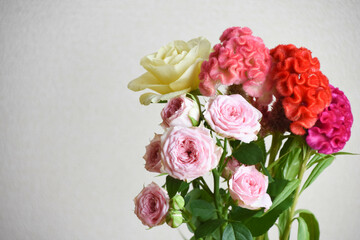 薔薇とケイトウ