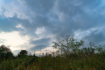 Fototapeta premium 秋の夕暮れの空に浮かぶ雲