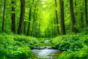 Obraz premium Lush Green Forest Stream Illustration