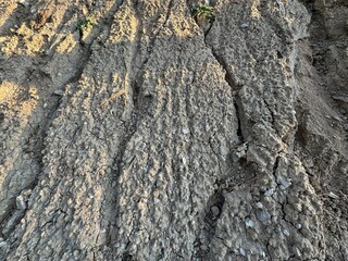 Dry and cracked mud soil, sandy soil section of dry soil drought. Cracked earth texture. Dry cracked earth, parched land, Earth dirt texture background of gray mud, arid soil, Dry cracked earth.

