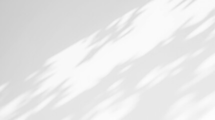 Background with Subtle Leaf Shadow Overlay Effect isolated on transparent. Minimalist Design, Natural Light and Shadow Play for Template or Mockup. PNG Image.