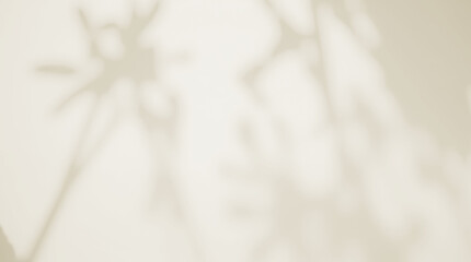  Soft Beige Background with Abstract Plant Shadow Overlay Effect  isolated on transparent. Minimalist Aesthetic, Natural Light and Shadows for Design Template, PNG Image.