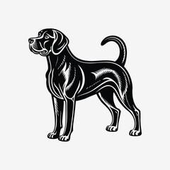 Vector illustration of a dog shaking water off its fur after a bath or swim.