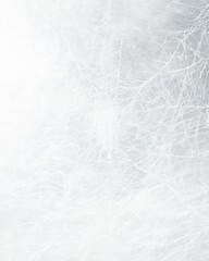 Spider web backgrounds white background concentric.