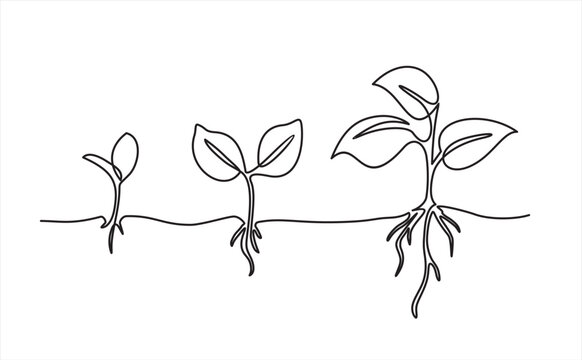 Continuous one line drawing growing plant. Seeds sprout in ground. Seedling gardening plants, sprouts. Single line draw vector graphic illustration
