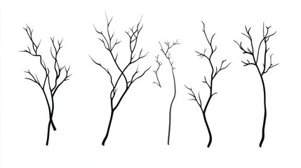 Obraz premium Silhouettes of Bare Tree Branches - Minimalist Nature Art Print