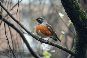 Yellow-vented Bulbul. Beautiful simple AI generated image