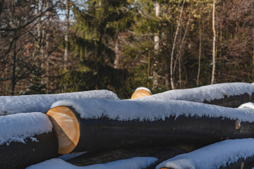 Wood logs covered in snow in polish mountains. Late autumn.