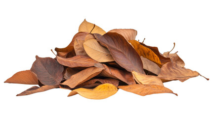 Autumn leaves transparent background