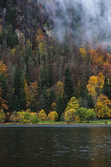Fototapeta premium Lake in the Black Forest During Autumn