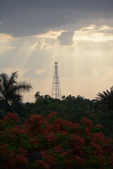 Obraz premium Beautiful Sunsets and Birds in India