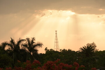 Beautiful Sunsets and Birds in India