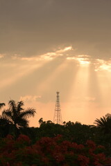 Obraz premium Beautiful Sunsets and Birds in India