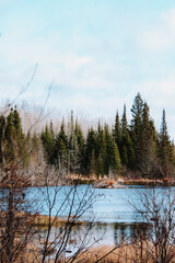 Obraz premium Beaver lodge on pond in autumn