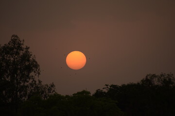 Obraz premium Beautiful Sunsets and Birds in India