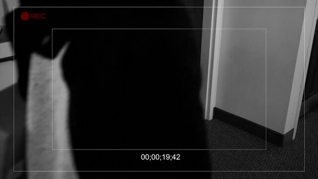 A Porch Pirate Steals a Package from Inside Apartment Building 2