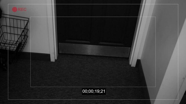 A Porch Pirate Steals a Package from Inside Apartment Building 1