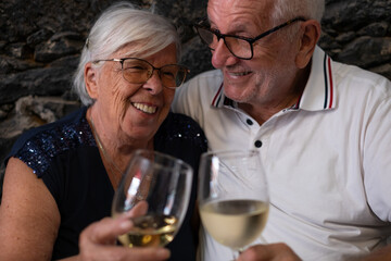 Smiling cheerful caucasian senior couple sitting at restaurant toasting with wineglasses celebrate freedom and retirement