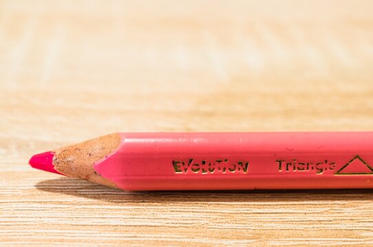 Pink Bic Evolution Triangle pencil
