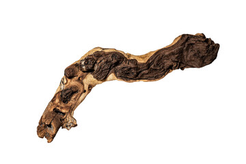 Naklejka premium Mopane tree snag isolated on transparent background. 