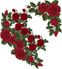 Fototapeta premium The Roses as a Thank You