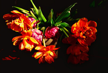 tulipany w ostrym słońcu © Beata