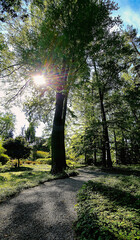 spacer w parku wiosną © Beata