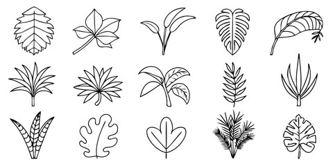 Tropical Leaf Collection: Botanical Line Art for Design Inspiration © Lee Design Arts