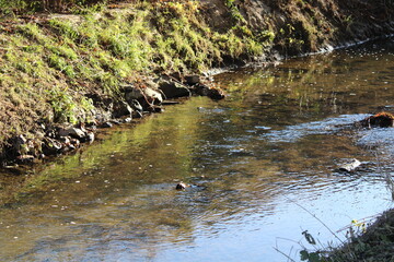 Fluss, Wasser, Landschaft, Bach, fließendes Gewässer