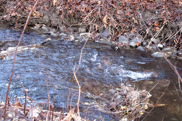 Fluss, Wasser, Landschaft, Bach, fließendes Gewässer, Herbst