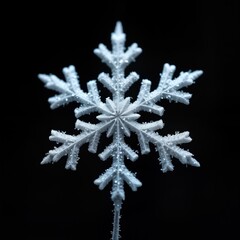 Frozen snowflake detailed macro photo dark background. Winter ice crystal complex structure. Nature beauty. Winter season. Cool design. Detailed closeup. Nature art. Macro photography. Cold