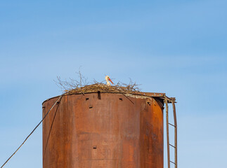 Stork in a large nest on top of a water tower in a village