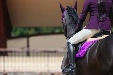 The rider's leg is a close-up of a show jumping competition. Black horse in violet.