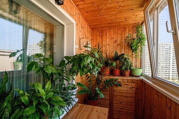 interior apartment room balcony overlooking the street, green plants flowers in pots