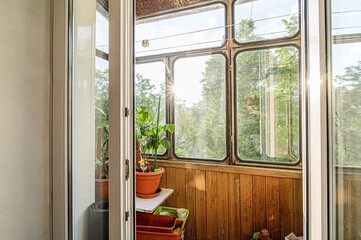 interior apartment room balcony overlooking the street, green plants flowers in pots