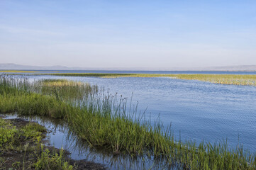 Awasa lake, Ethiopia