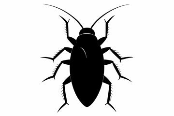 Cockroach silhouette, cockroach icon vector on white background