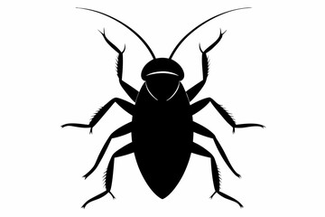 Cockroach silhouette, cockroach icon vector on white background