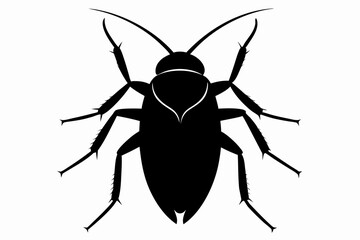 Cockroach silhouette, cockroach icon vector on white background