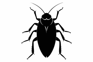 Cockroach silhouette, cockroach icon vector on white background