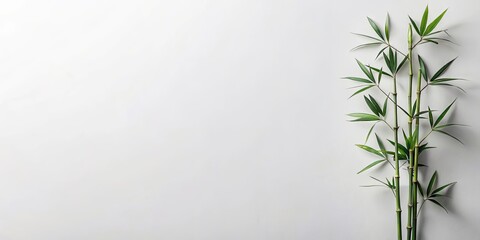 Naklejka premium Serene Green Bamboo Shoots on a Light Gray Background, Ideal for Relaxation and Wellness Designs
