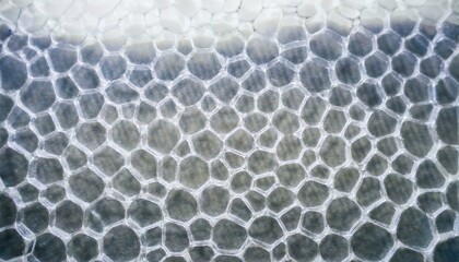 Obraz premium Cell Structure Investigation