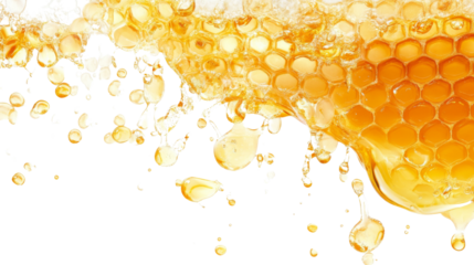 Honeycomb transparent background