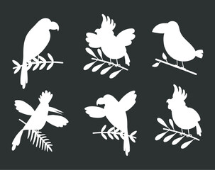 Shadow silhouette birds isolated set. Vector graphic design illustration