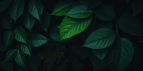 Fototapeta premium Vibrant bitter green background with textured leaves, leaves, natural, bitter
