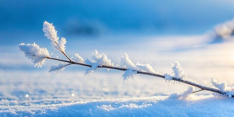 Obraz premium Winter wonderland A frosty branch adorned with delicate ice crystals rests gently on a pristine snowdrift against a vibrant blue sky.
