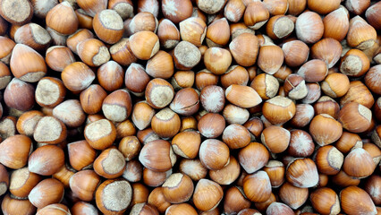 Oily and crispy Giresun plump hazelnut variety from Giresun province, where hazelnut cultivation is widespread in the Eastern Black Sea Region