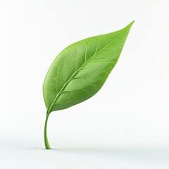 Obraz premium Fresh Green Leaf Isolated on Clean Background with Fine Texture and Veins, Symbolizing Nature, Growth, and Vitality in Eco-Friendly Concept Visuals