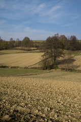 Autumn in farm fields in hilly terrain